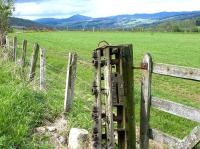 View from the trackbed of the Aberfeldy branch near Logierait Viaduct in May 2003. <br><br>[John Furnevel 19/05/2003]