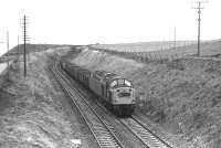 Class 40 approaching Cove with a northbound freight on 07 December 1974.<br><br>[John McIntyre 07/12/1974]