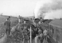 103 and 49 wait at Glenwhilly to cross a Swindon unit bound for Stranraer.<br><br>[John Robin 15/04/1963]