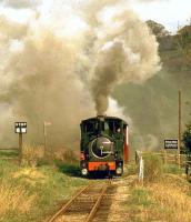 Scene on the Weshpool and Llanfair Light Railway at Raven Square.<br><br>[Ian Dinmore //]