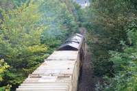 EWS 66233 takes the 14.10 (FO) <I>Binliner</I> containers through deepest jungle towards Leith Walk on 27 October 2006 heading for Portobello and the ECML. The end of the up platform of the former Leith Walk station can just be seen on the bend [see image 2067].<br><br>[John Furnevel 27/10/2006]