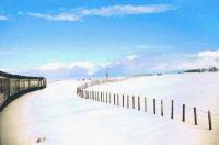 Class 37 approaching County March summit with its train in a chilly January 1988.<br><br>[Ian Dinmore /01/1988]