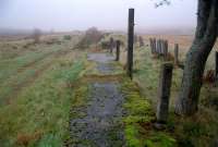 Looking east at Loch Skerrow. The signalbox was at the end of the platform. A felled water-column remains here.<br><br>[Ewan Crawford //]