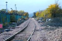 Site of Cambus station looking west. The bridge over the Devon is in the distance. There is a curious bend in the line here on what was a straight railway.<br><br>[Ewan Crawford 12/11/2006]