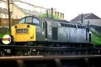 Class 40 40065 heads for Ferryhill MPD in 1974.<br><br>[John McIntyre /04/1974]