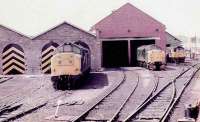 26026 on the right, 37260 on the left and in the middle 37033 with split headcode panels. Before blue livery.<br><br>[Brian Forbes /05/1983]