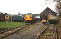 Shed and stabling area at Bridge of Dun, November 2006.<br><br>[John Furnevel 07/11/2006]