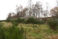 Rear view of the old curlers platform at the Loch of Aboyne looking south in 2006.<br><br>[John Furnevel 10/11/2006]