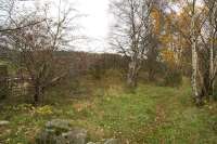 Looking east along the trackbed at the remains of the Curlers Platform alongside the Loch of Aboyne in November 2006.<br><br>[John Furnevel 10/11/2006]