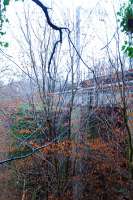 View of the two viaducts to the east of Inverkip station. Left viaduct (original) reduced to piers only, right still in use. And I thought visiting here in winter would reduce the undergrowth ...<br><br>[Ewan Crawford 03/01/2007]