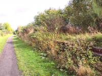 Hawthorn and rambling roses at redundant Rosewell.<br><br>[Brian Forbes //2006]