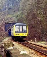 Class 151 between the tunnels near Matlock Bath.<br><br>[Ian Dinmore //]