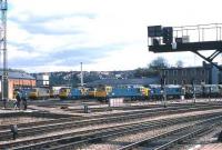 View from the south end of the platforms at Bristol TM over Bath Road shed in May 1985. [See image 20985]<br><br>[John McIntyre /05/1985]