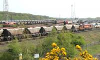 Oil train, coal train, PW train and coal empties pass at the north end of Tyne Yard in May 2006. <br><br>[John Furnevel 09/05/2006]