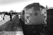 D5307 with a railtour at Alloa in 1973.<br><br>[Bill Roberton //1973]