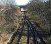 View east at Cameron Bridge with the River Leven on the right and the overgrown line of the former route to the Fife coast curving away to the left beyond the bridge. February 2007.<br><br>[John Furnevel 11/02/2007]