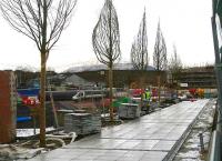 Tree lined pedestrian entrance to Alloa station taking shape on 8 February 2007.<br><br>[John Furnevel 08/02/2007]