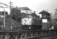 Class 40 passing Ferryhill SB heading for the MPD on 25 May 1975.<br><br>[John McIntyre 25/05/1975]