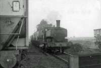 NCB pannier tank shunting at Dollar Mine.<br><br>[John Robin 27/09/1963]