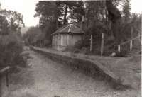 Cambus before renovation (circa 1984) - notice the pillars for the station sign. View looks towards Ballater. [see image 34858] for a later view of this station restored - in colour, even.<br><br>[Ken Strachan /08/1976]