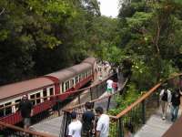 Brief stopover at Barron Falls station. The front of the 14 coach train can just about be made out in the distance. In case you were wondering, they have not heard of sprinters, turbostars or voyagers out here either!<br><br>[Paul D Kerr 19/01/2007]