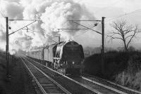 Duchess of Sutherland with a special near Wallyford in 1996.<br><br>[Bill Roberton //1996]