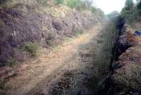 Looking north to Kilbarchan before the line was converted to a cycleway. Every sleeper indentation was perfectly preserved.<br><br>[Ewan Crawford //]