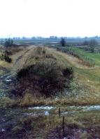 Remains of the east/northbound platform at Mawcarse in 1981 from the road bridge to the east of the station, the view looks west. The southbound platform is to the left. The goods loading bank is on the right. This site has subsequently been cleared revealing the loading bank from behind scrub but removing the two passenger platform mounds. [With thanks to Brian McDevitt for pointing out this station did not have an island platform!]<br><br>[Craig Seath //1981]