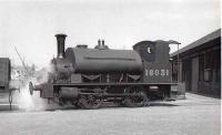 Drummond 0-4-0ST Pug at Albert Harbour in Greenock, around 1950. Built for Caledonian Railway as CR622, still  in LMS colurs as 16031. Under BR it became 56031.<br><br>[Graham Morgan collection //1950]