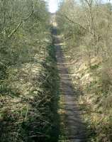 Forth and Clyde Junction Railway, from bridge next to Gairdrew farm looking toward Croftamie.<br><br>[Alistair MacKenzie 22/03/2007]