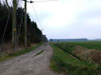 View East past Rhynd Wood toward Leuchars.<br><br>[Brian Forbes 25/03/2007]