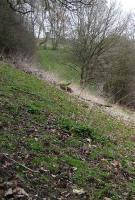 A ventillator shaft stands high on the hill above Catesby Tunnel, March 2007.<br><br>[John McIntyre 23/03/2007]