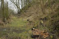 Trackbed to the east of the former Binnhead Oil Co works near Burntisland in March 2007.<br><br>[Bill Roberton /03/2007]