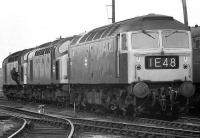 Lineup of main line locomotives at Ferryhill MPD, C. 1974.<br><br>[John McIntyre //1974]