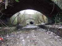 Looking back towards Bridgeton Central Tunnel. Major clearance work has taken place here... pity it could not remove the soggyness underneath!!<br><br>[Colin Harkins 29/03/2007]