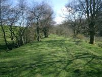 Forth and Clyde Junction Railway near Auchencarroch, looking NE.<br><br>[Alistair MacKenzie 03/04/2007]