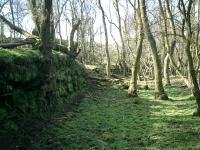 Forth and Clyde Junction Railway, Auchencarroch quarry siding. Sandstone walling to left was bottom end of quarry tramway.<br><br>[Alistair MacKenzie 03/04/2007]