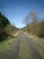 Strathendrick & Aberfoyle Railway,  looking NW.<br><br>[Alistair MacKenzie 04/04/2007]