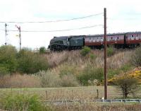Preserved A4 Pacific no 60009 <I>Union of South Africa</I> on the southern approach to Larbert Junction with <I> The Great Britain</I> on 10 April 2007.<br><br>[John Furnevel 10/04/2007]