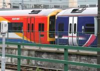 Colourful companions, Waverley 13 April.<br><br>[John Furnevel 13/04/2007]