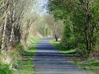 Trackbed looking east to Elderslie from Cart Junction, now part of the Cycle Network.<br><br>[Graham Morgan 12/04/2007]