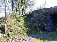 Looking South at Paisley West showing the remains of the station. The bridge across the site sits where the signal box was, just in front of the telegraph pole at the top of the shot.<br><br>[Graham Morgan 12/04/2007]