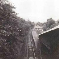 <h4><a href='/locations/H/Helensburgh_Upper'>Helensburgh Upper</a></h4><p><small><a href='/companies/W/West_Highland_Railway'>West Highland Railway</a></small></p><p>West Highland Line, Helensburgh Upper Station. 11/63</p><p>08/10/1981<br><small><a href='/contributors/Alistair_MacKenzie'>Alistair MacKenzie</a></small></p>