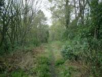 West Highland Line, remains of trackbed on Faslane siding.<br><br>[Alistair MacKenzie 17/04/2007]