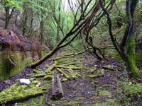 <h4><a href='/locations/K/Kelvindale_Tunnel'>Kelvindale Tunnel</a></h4><p><small><a href='/companies/G/Glasgow_Central_Railway'>Glasgow Central Railway</a></small></p><p>Looking West from the tunnel mouth. 4/12</p><p>22/04/2007<br><small><a href='/contributors/Colin_Harkins'>Colin Harkins</a></small></p>