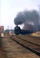 DB 043 364 approaches the closed station at Hemsen with coal empties from Emden heading for Rheine in May 1976.<br><br>[John McIntyre /05/1976]