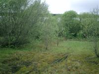 Caledonian Railway Lanarkshire and Dumbartonshire line, sidings at Old Kilpatrick Goods Yard, looking West towards the Erskine Bridge.<br><br>[Alistair MacKenzie 25/04/2007]