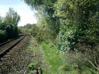 West Highland Line, Whistlefield Station site looking S.<br><br>[Alistair MacKenzie 30/04/2007]