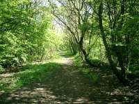 Caledonian Railway Lanarkshire and Dumbartonshire line trackbed looking W at Bowling Harbour.<br><br>[Alistair MacKenzie 02/05/2007]