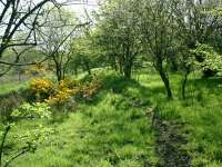 Forth and Clyde Junction Railway at Gartness Junction. FCJR to right and Strathendrick & Aberfoyle line to left.<br><br>[Alistair MacKenzie 03/05/2007]